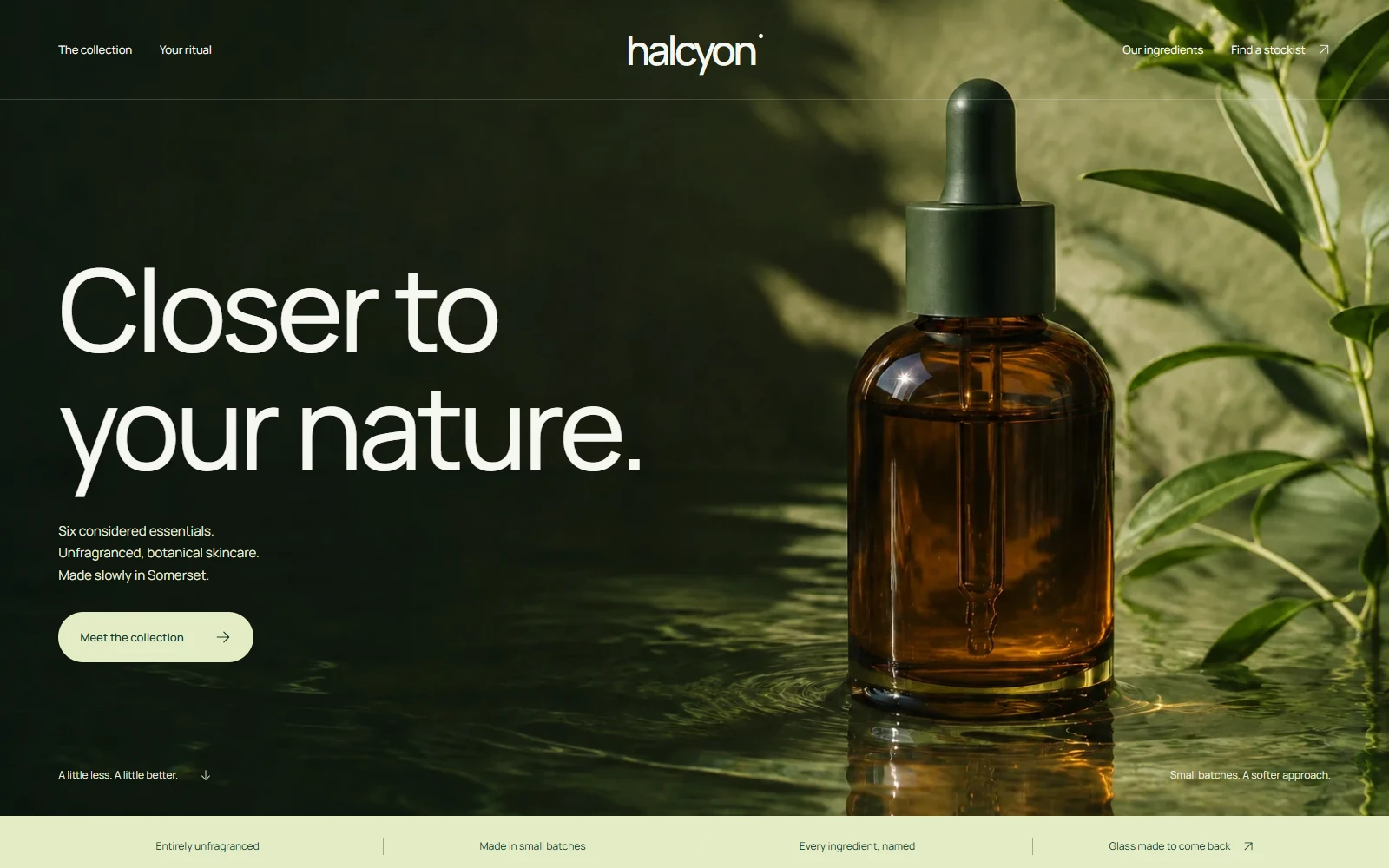 Halcyon website concept: a preview of its actual homepage