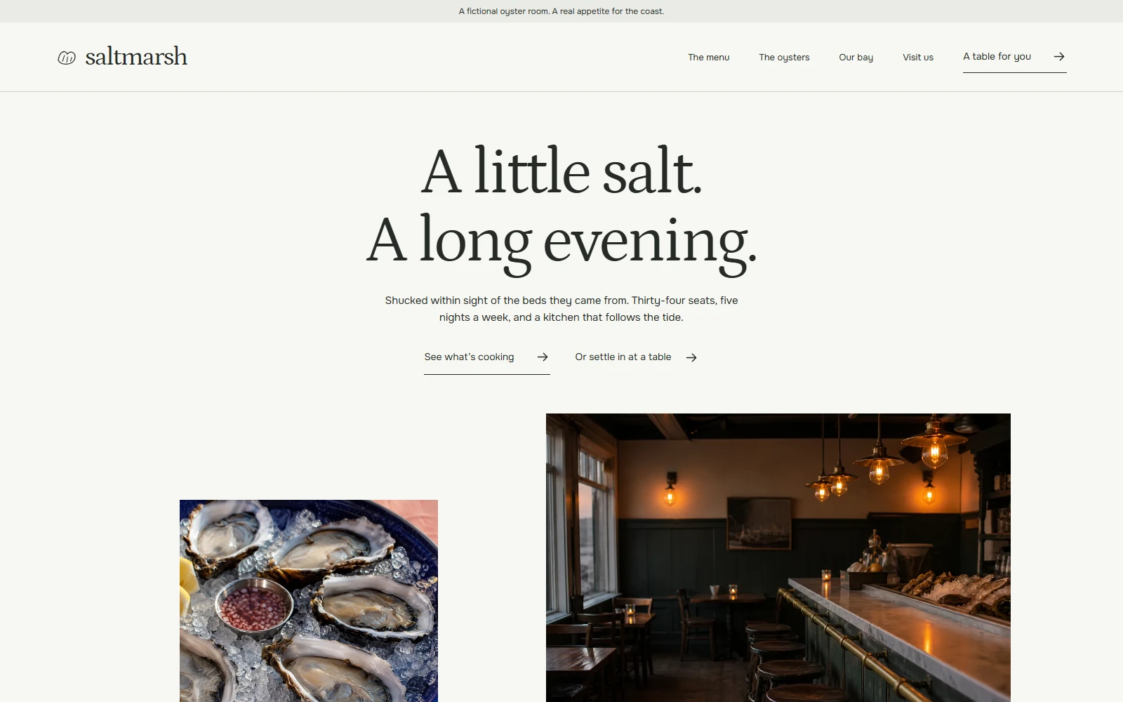 Saltmarsh website concept: a preview of its actual homepage